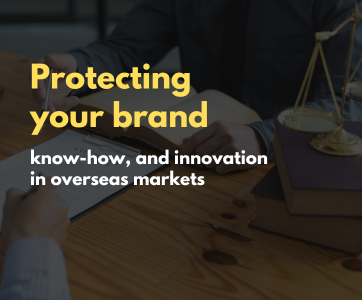 Illustration of safeguarding brand and innovation across international markets with legal protection and strategic measures.